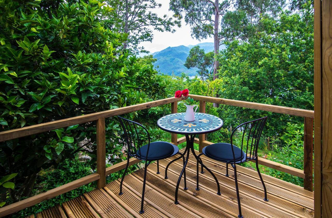 Welcome to Gerês-Green view Vieira do Minho Exterior foto